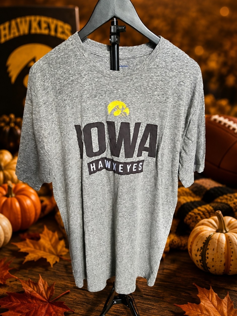 Champion Gray Iowa Hawkeyes Short-Sleeve Logo Tee - Picture 1 of 7